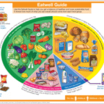 Supplements for a Balanced Diet: Essential Insights