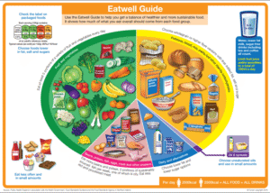 Supplements for a Balanced Diet: Essential Insights