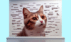 Cat Meme Secrets for Attaining Feline Internet Stardom