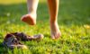Barefoot Footwear’s Orthopedic Effects on Children