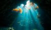 Belize Diving Adventures: Uncover Hidden Underwater Treasures