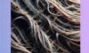 Reversing Heat Damage: Solutions and Strategies That Work