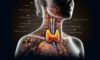 Thyroid Blood Test in Aylesbury: Reliable and Quick Service