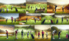Golf Lessons in South Africa: Your Essential Guide to Choosing