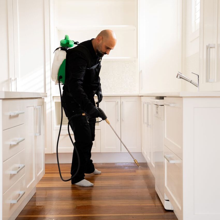 DIY Pest Control: Why Pro Treatments Outperform Store Sprays