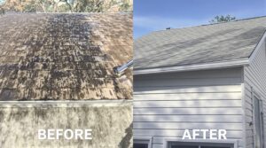 Uncover the Vital Role of Soft Washing in Comprehensive Home Maintenance
