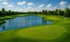 Golf Resorts in Florida: Explore the Top Choices
