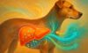 Liver Health Monitoring: Key Tips for Your Dog’s Care