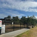 Tree Planting Event at Maitland’s Rutherford Dog Park