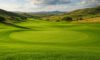 Golf Course Management Strategies to Drive Success