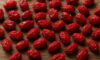 Dried Barberries in Traditional Persian Recipes