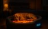 Temperature-Controlled Beds for Pets: Ensuring Comfort for Your Furry Friends