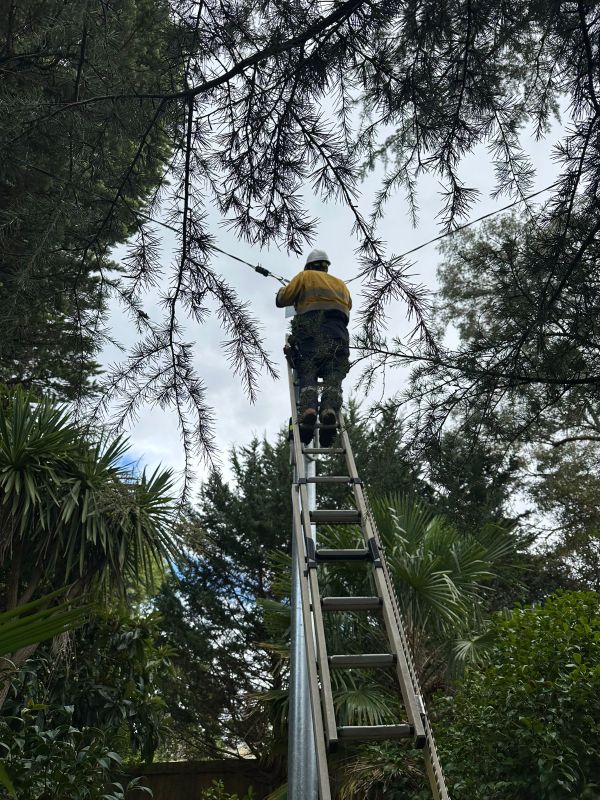 Response to Electrical Defect Notice in the Mid North Coast